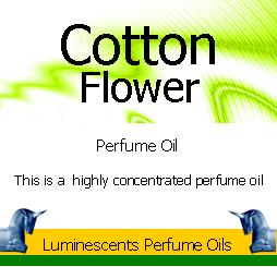 Cotton Flower Perfume Oil