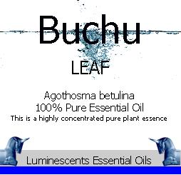Buchu Leaf essential oil label