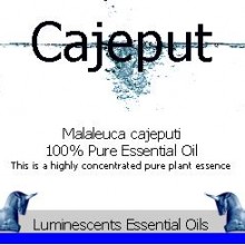 Cajeput essential oil label