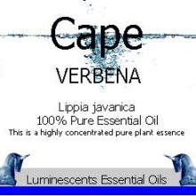 cape verbena essential oil label