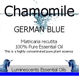 German Blue Chamomile