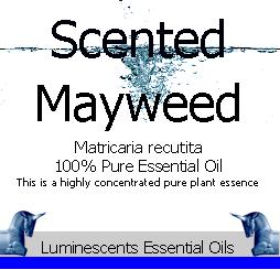 Scented Mayweed essential oil label
