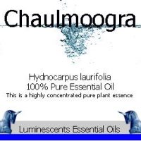 chaulmoogra essential oil label