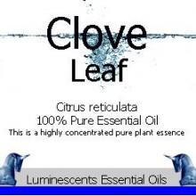 clove leaf essential oil label