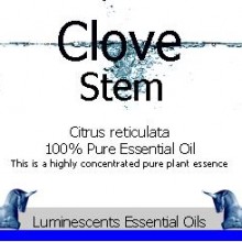 clove stem essential oil label