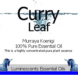 Curry Leaf essential oil label