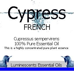 cypress french