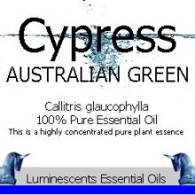 cypress australian green