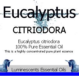 eucalyptus citriodora label