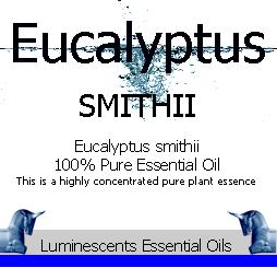 eucalyptus smithii label