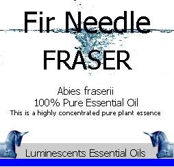 Fir Needle Fraser