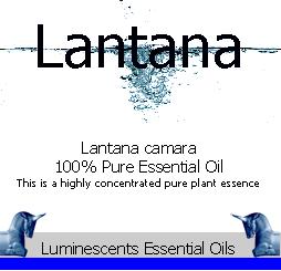 lantana essential oil label
