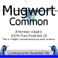 common-mugwort-essential-oil