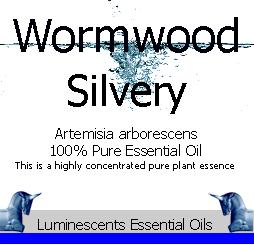 silvery wormwood essential oil