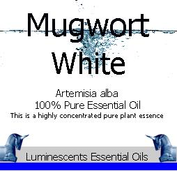 White Mugwort Essential-oil
