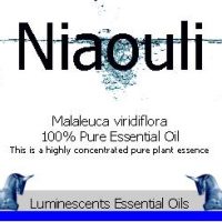 niaouli essential oil