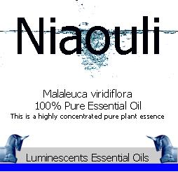 niaouli essential oil