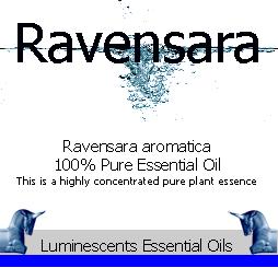 ravensara essential oil label