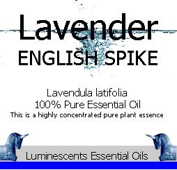 english spike lavender label