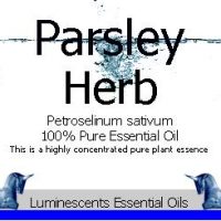 parsley Herb