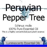 Peruvian Pepper Tree