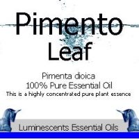 pimento leaf
