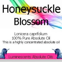 honeysuckle blossom