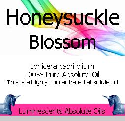 honeysuckle blossom