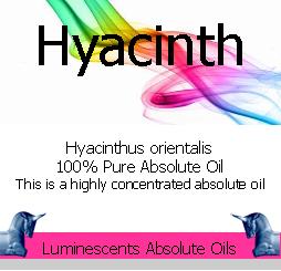 hyacinth absolute oil label