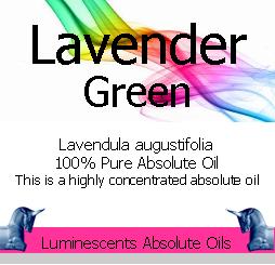 lavender green absolute oil