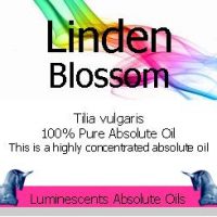 linden blossom absolute oil