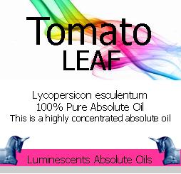tomato leaf absolute oil label