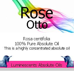 rose otto absolute -oil label