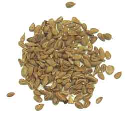 aniseed-whole-seed