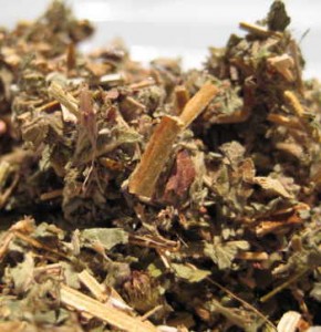 agrimony herb