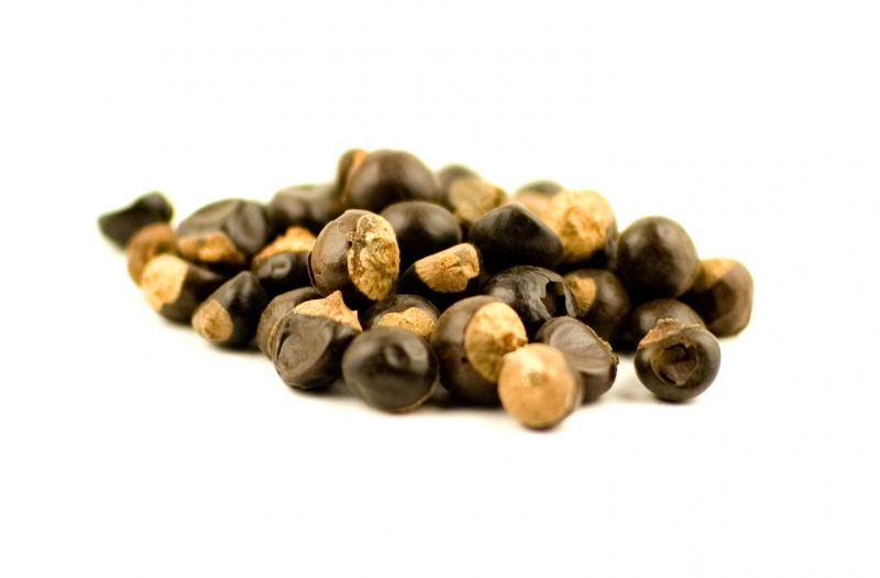 Image result for Guarana Seed