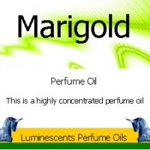 Marigold perfume oil