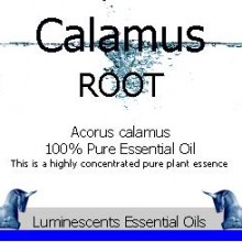 Calamus Root Essential Oil Label