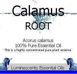 Calamus Root Essential Oil Label