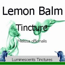 lemon balm tincture