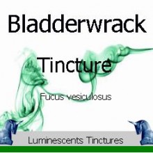 bladderwrack tincture label