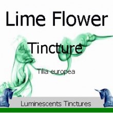 Lime Leaf and Flower Tincture label