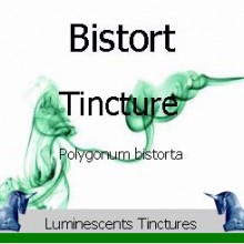 Bistort Tincture label