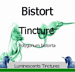 Bistort Tincture label