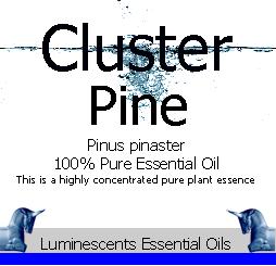 cluster pine essential oil label