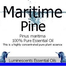 maritime pine essential oil label