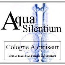 Aqua silentium website header