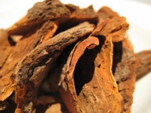 sassafras-whole-root-bark
