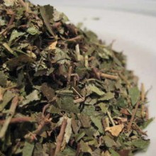 lesser periwinkle herb
