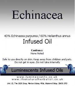 Echinacea-Infused-Oil